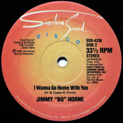 JIMMY BO HORNE - IS IT IN (ED. 1980)