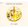 TOAD THE WET SPROCKET - ALL I WANT